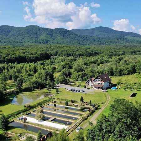 Отель Valea Salbatica Sinca Noua Экстерьер фото