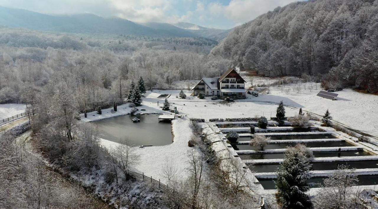 Отель Valea Salbatica Sinca Noua Экстерьер фото