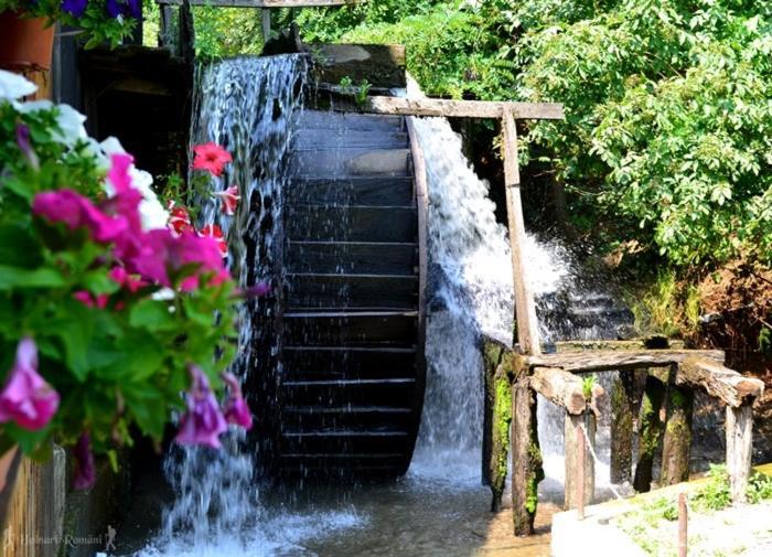 Отель Valea Salbatica Sinca Noua Экстерьер фото