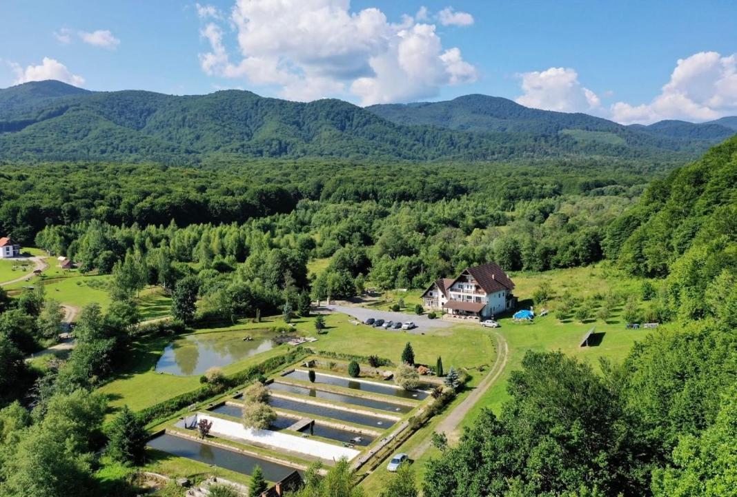 Отель Valea Salbatica Sinca Noua Экстерьер фото
