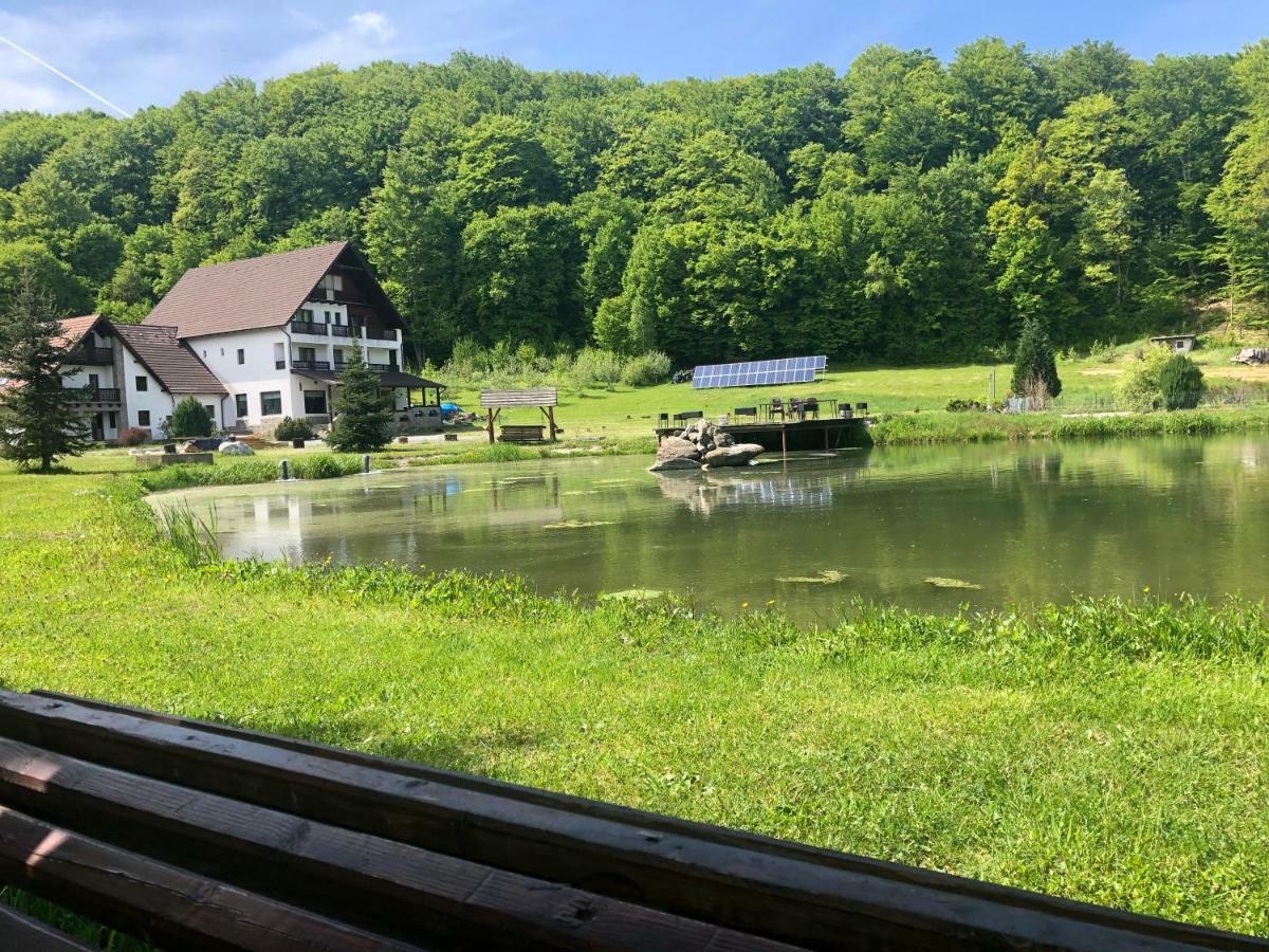 Отель Valea Salbatica Sinca Noua Экстерьер фото