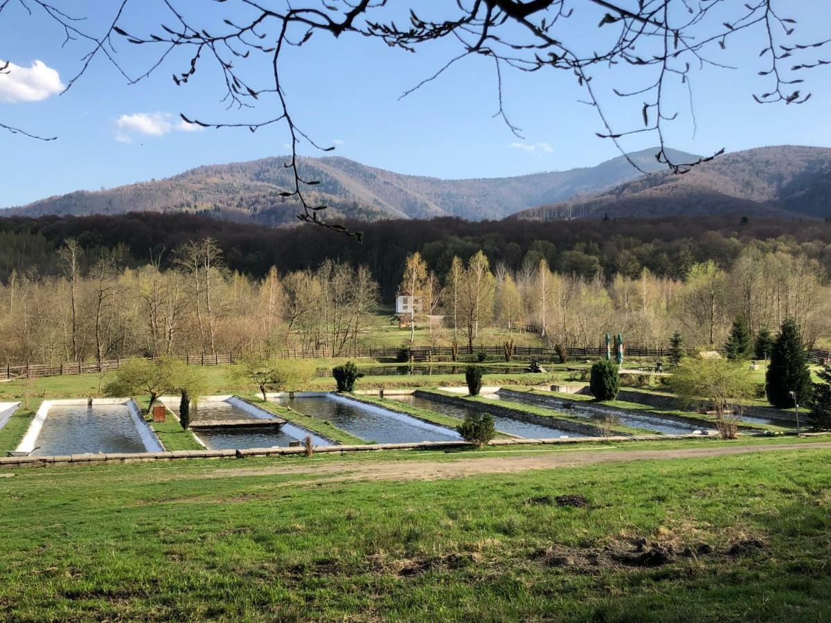 Отель Valea Salbatica Sinca Noua Экстерьер фото